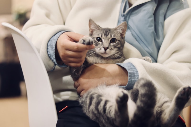 Atendimento veterinário